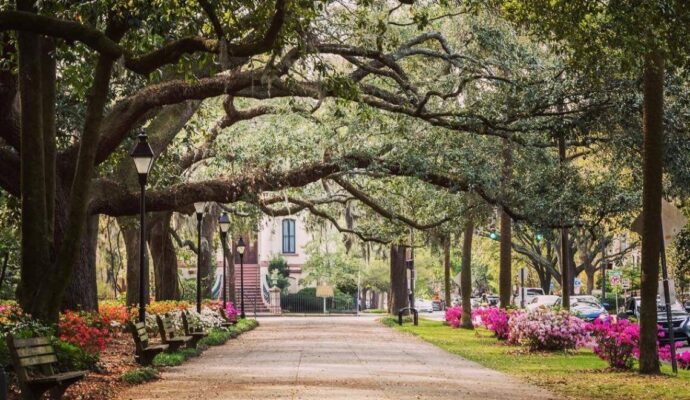 LSS Georgia-Savannah-GA LSS Georgia-Savannah-GA