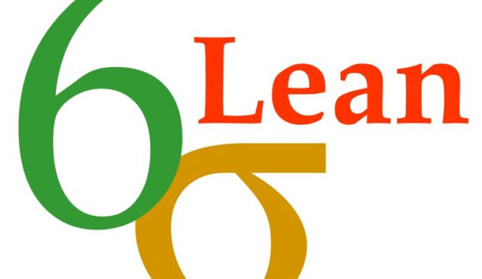 LSS Georgia-What Is Lean Six Sigma